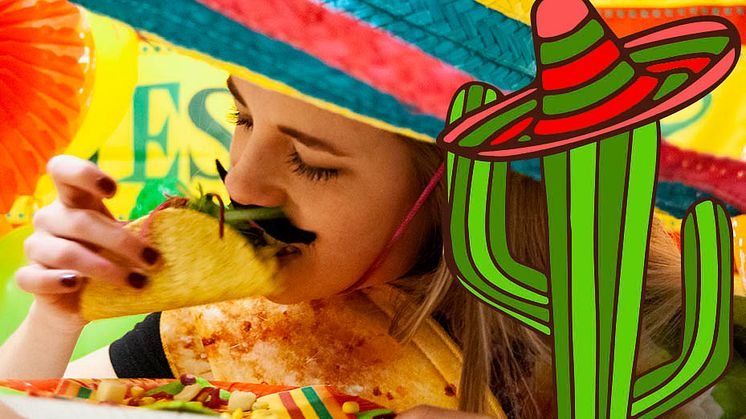 taco_äter_taco_kaktus