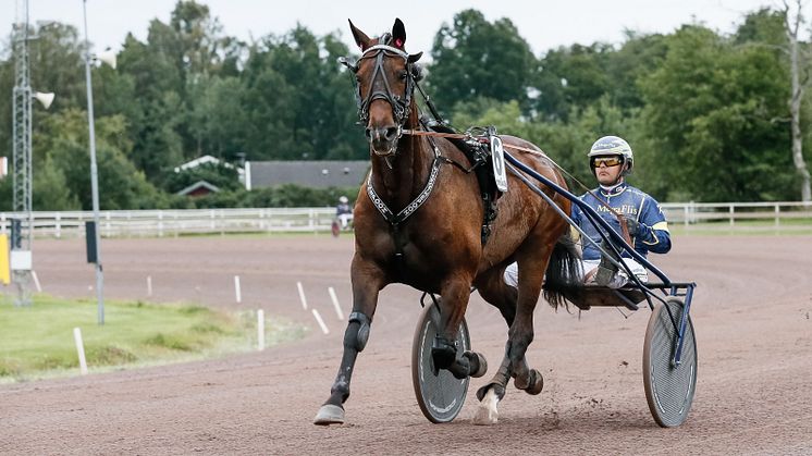 Hickothepooh klar för Elitloppet 2021.