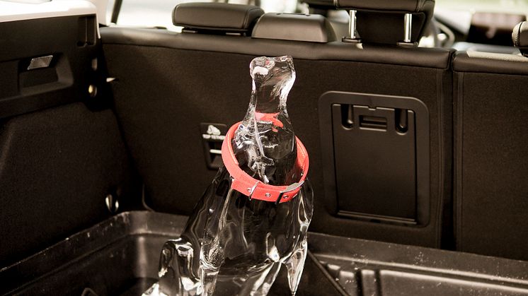 2019_FORD_ICE_DOG_2.jpg