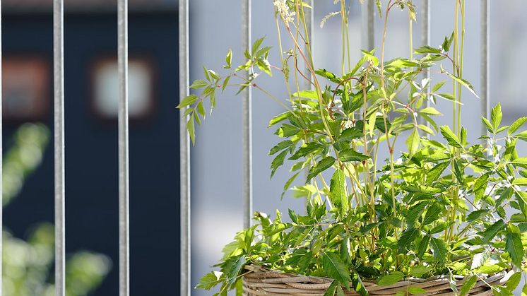 JYSK_early_balcony_6