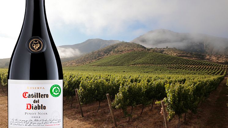 Casillero del Diablo Pinot Noir- nå i basissortimentet hos Vinmonopolet