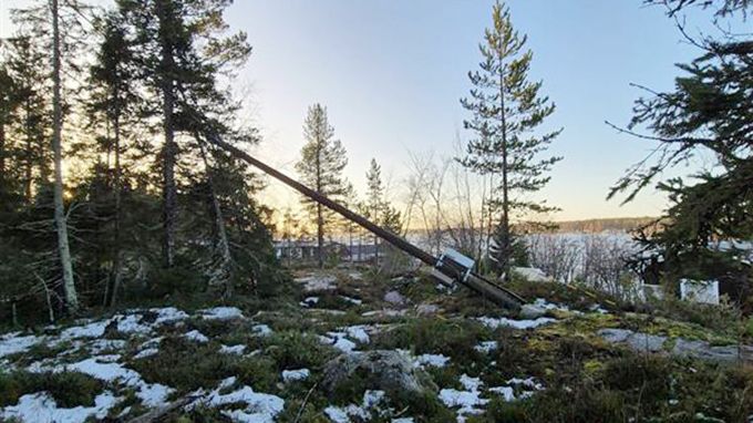 Foto från en av öarna utanför Holmsund, tagen av en Umeå Energi-medarbetare som tagit sig dit med båt.
