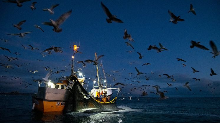 Regeringar uppmanas att komma överens om kvotdelningsavtal