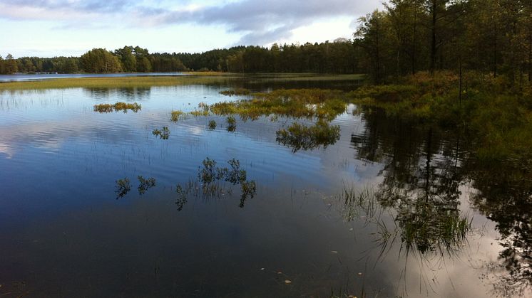 Boksjön, nytt naturreservat