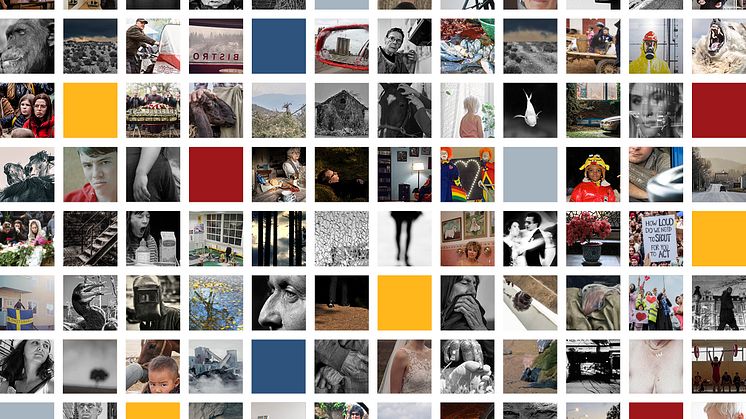 Nu öppnar vi dörrarna för Dokumentärfotosalong 2019!