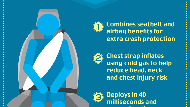 Ford seleairbags