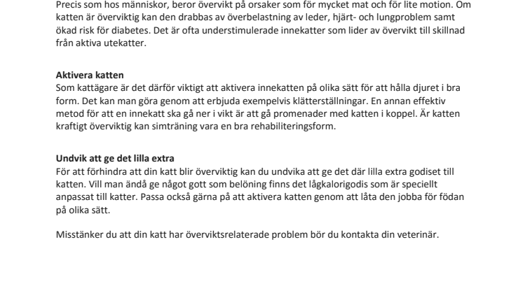 Överviktiga katter – ett allt större hälsoproblem 