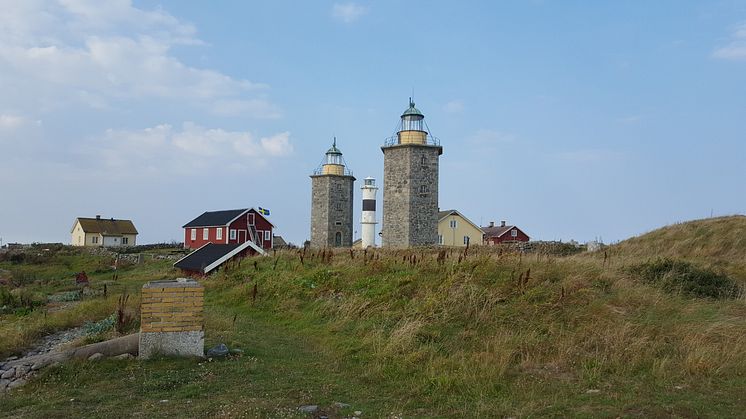 Nidingen_Foto Åse Ahlstrand (1).jpg