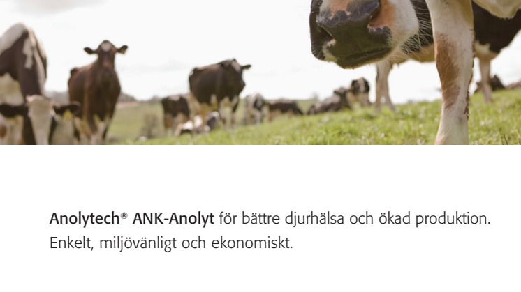 Uppstickaren Anolytech ger djuren rent dricksvatten