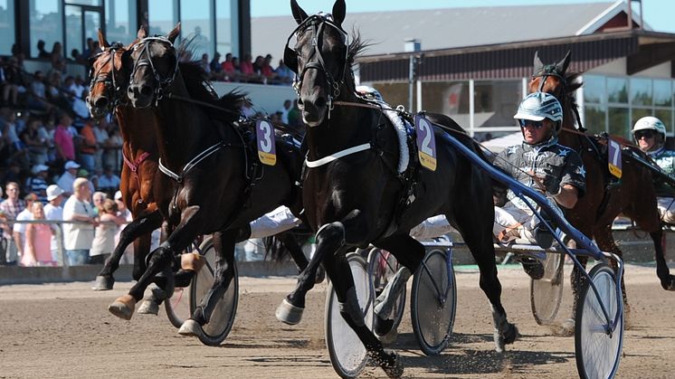 Travets tävlingskalender för 2015