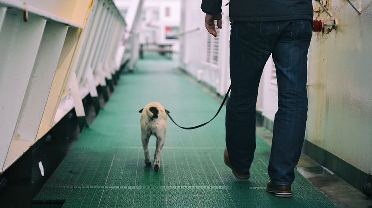 Tallink_Silja_Serenade_Dezember2017 (19)