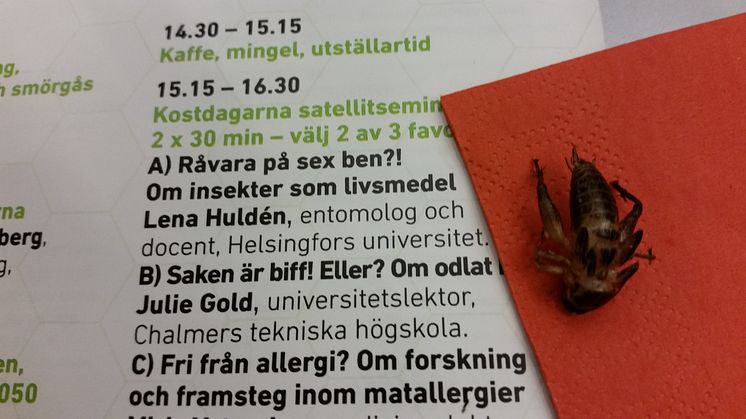 Äta insekter? Kostdagarna 2015_Bergström & Hellqvist