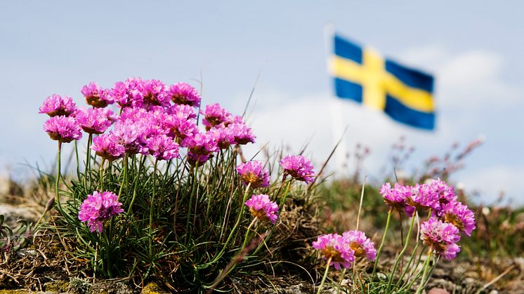 Pressinbjudan: Nationaldagen 2024