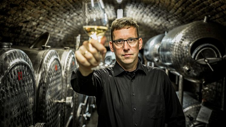 Tesch 2019 Löhrer Berg - fokuserad och generös Riesling