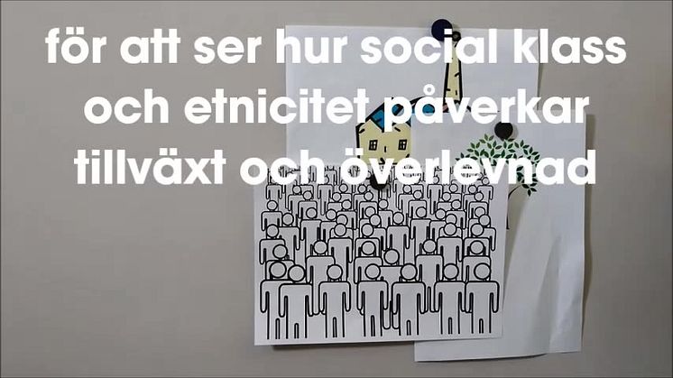 Hur påverkas tillväxt av etnicitet och social klass i företagens styrelser? FRI ANVÄNDNING