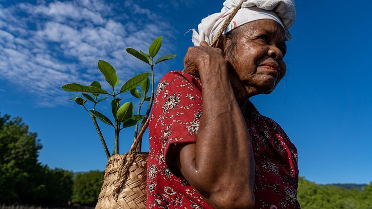 Photo: UNDP Timor-Leste/Yuichi Ishida