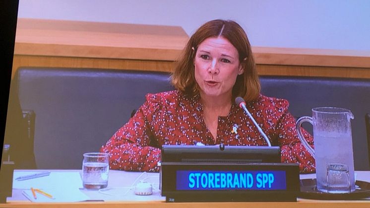 Åsa Wallenberg at the United Nations in NYC