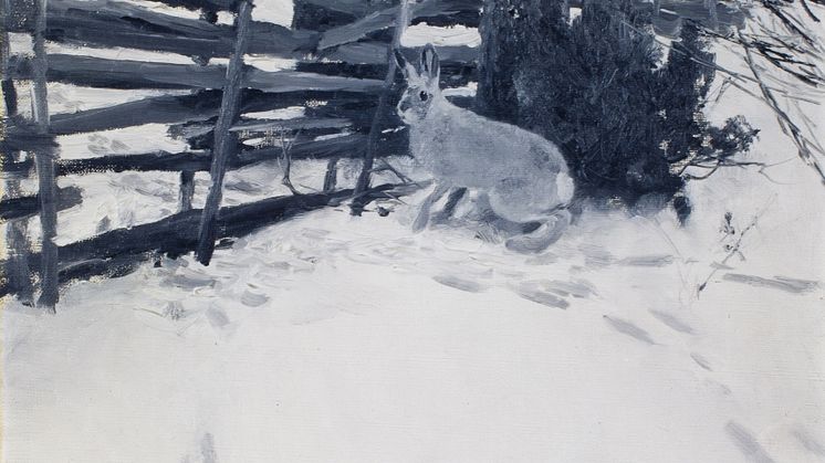 Bruno Liljefors, Hare vid gärdesgård, 1890 © Prins Eugens Waldemarsudde