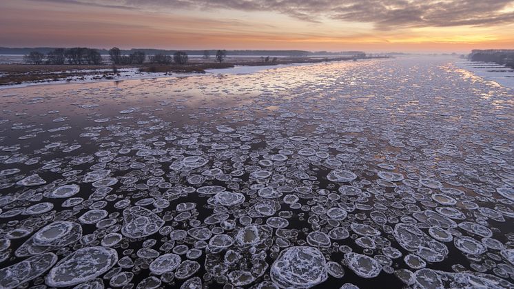 Ein ganz besonderes Licht verzaubert die Elbe bei Wittenberge mit Eisgang im Winter. Foto: TMB-Fotoarchiv Dieter Damschen.