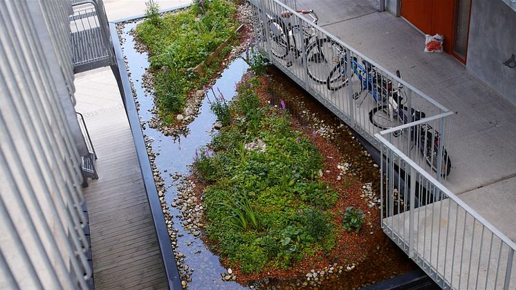  Blågröna system buffrar regnvatten, avlastar det kommunala dagvattennätet och minskar därmed risken för översvämningar. Foto: SGRI