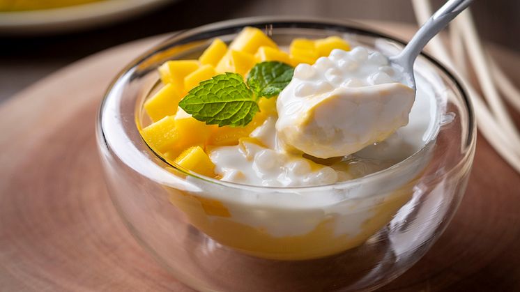RISTASIX (dessert)