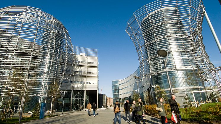 Public Lectures Series: Professor Glenda Cook