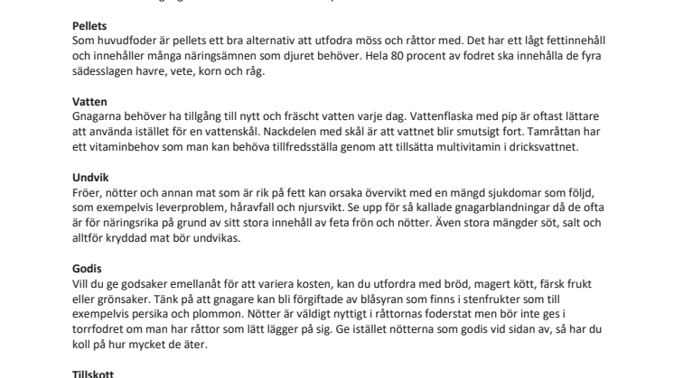 Utfodra tamråttan och sällskapsmusen rätt!