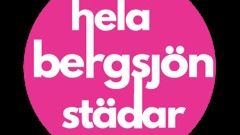 hela bergsjön städar.jpg