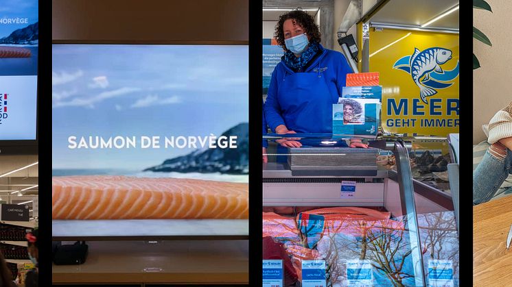 Laksekampanjer Tyiskland og Frankrike