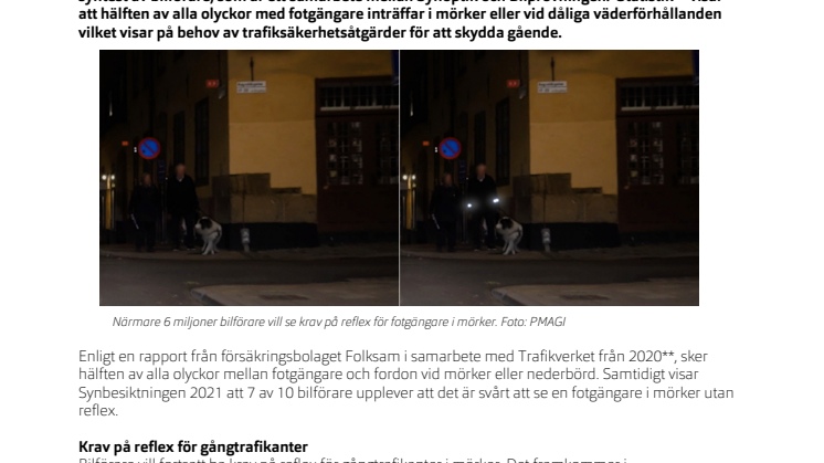 PM_synbesiktningen 2021_mörker.pdf