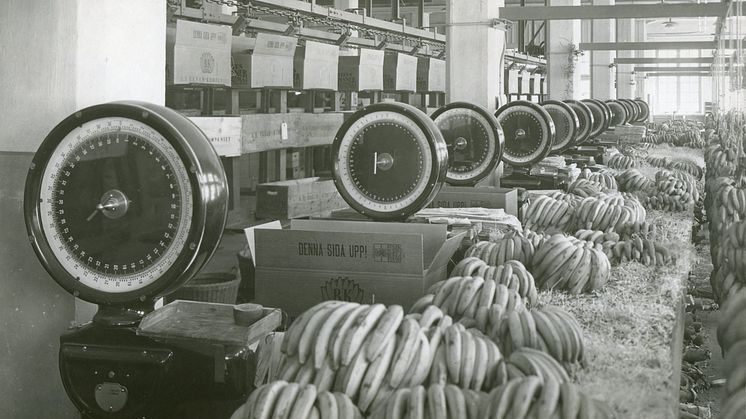 Banankompaniet