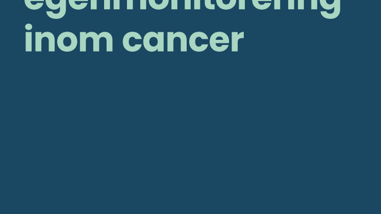 Rapport_Egenmonitorering_final.pdf