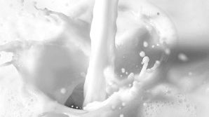 ​Arla Foods amba maintains milk price