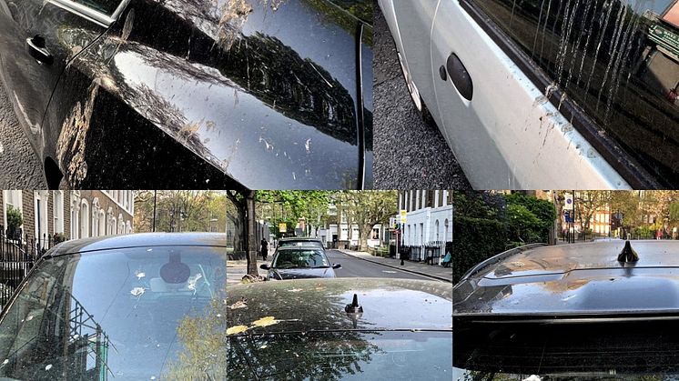 Slik bevarer kunstig fuglemøkk lakken på bilen din