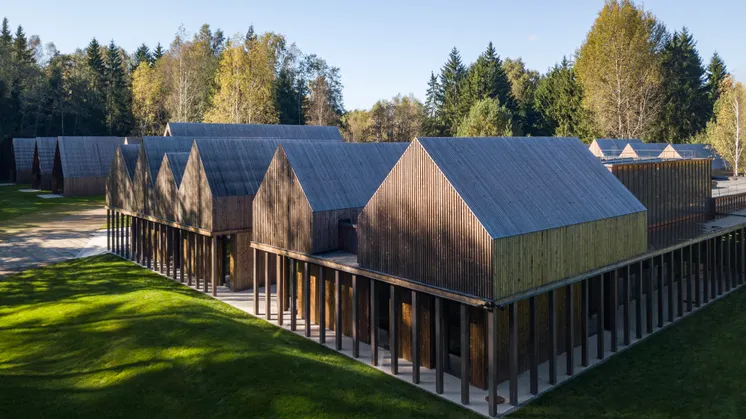 Bestehende Lichtungen, alter Baumbestand und die natürliche Topografie bestimmen die Architektur des SANCTUM Nature Therapy R