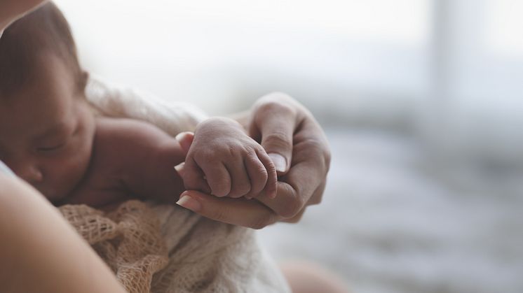 AdobeStock_255973046