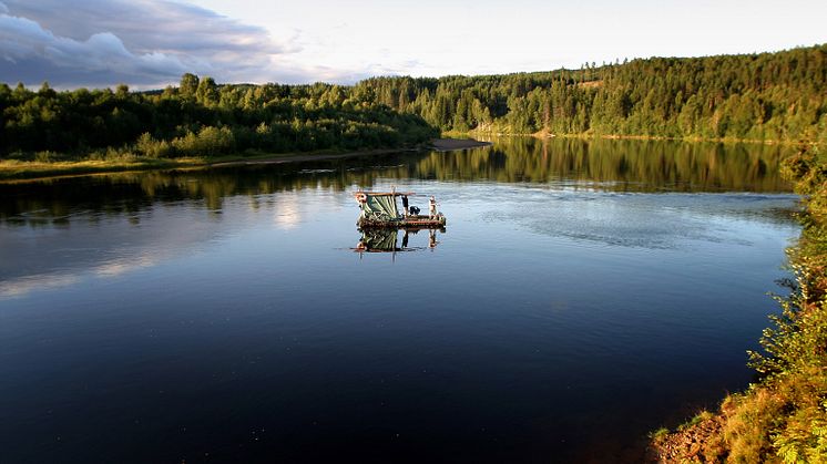 Vildmark Värmland
