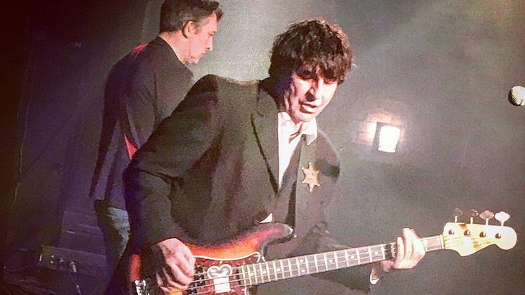 The Chameleons
