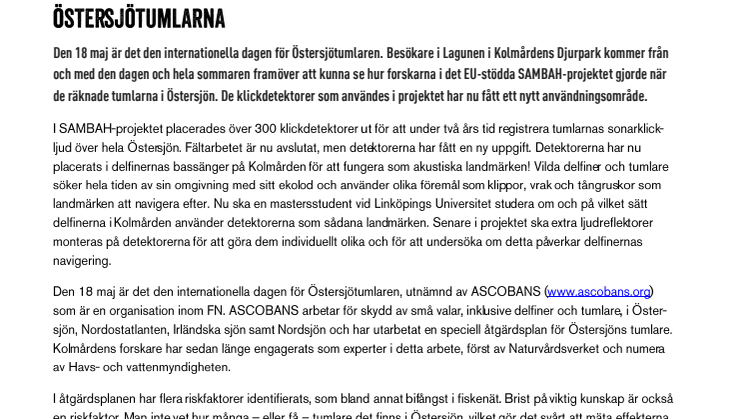 Kolmårdens delfiner är ambassadörer för de akut hotade Östersjötumlarna