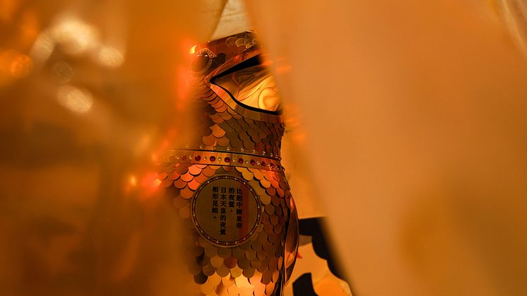 Foto: Ard Jongsma / Odense Bys Museer