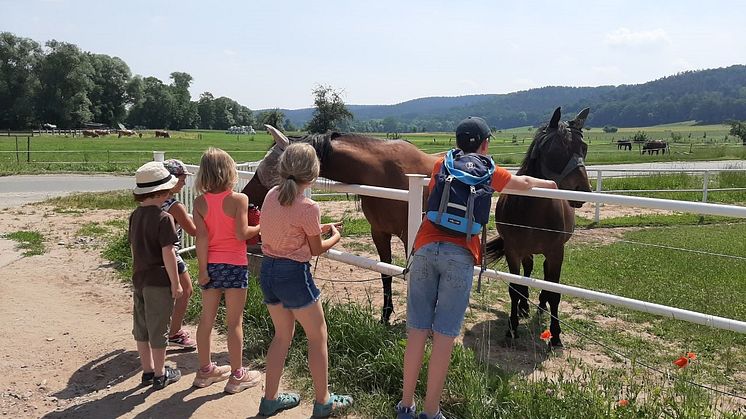 MutKids e.V. Sommerferiencamp (Quelle/Urheber: Mut Kidz e.V. Jena)
