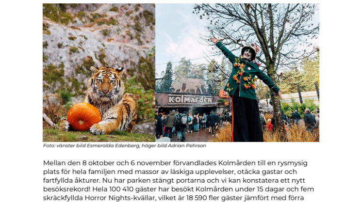 Besöksrekord för Halloween på Kolmården - Över 100 000 besökare.pdf