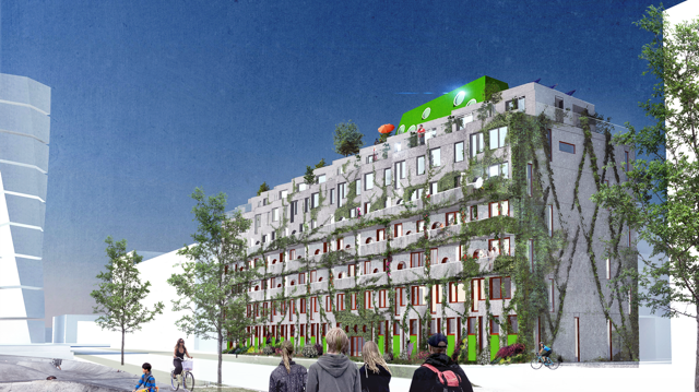 Banbrytande bostäder får supermiljököket Miinus - Ekologi och design fällde avgörandet