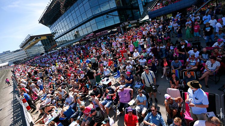 Elitloppet publik