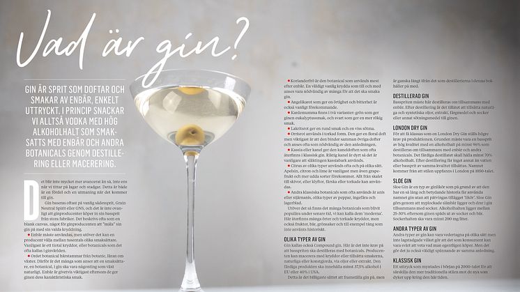 Uppslag - Vad är gin? 