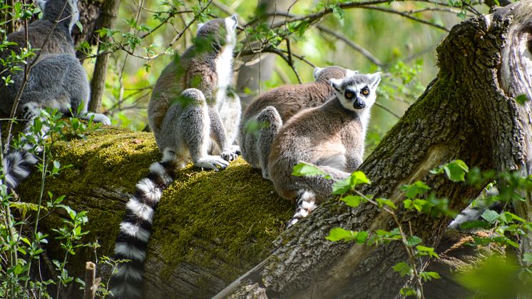 Ein toller Ausflug für kleine und große Tierfans