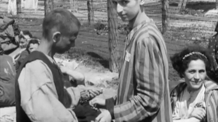 The Unseen Holocaust