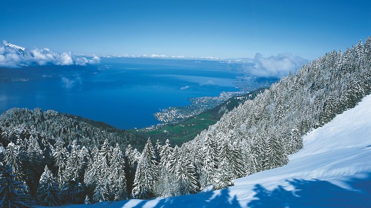 Blick auf Genfersee aus der Zahnradbahn zum Rochers-de-Naye © Schweiz Tourismus_Fotograf Stephan Engler
