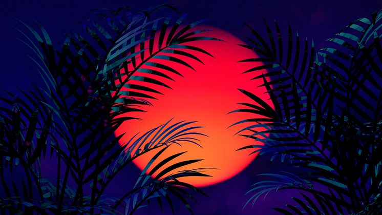 Flames artwork