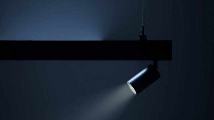 Notor_65_Dynamic_profile